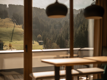 Großzügiges Appartement in den Adea Lifestyle Suites Fieberbrunn - Wellness und Erholung direkt an der Skipiste