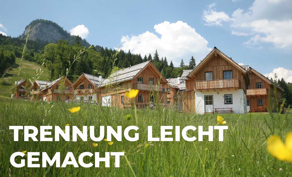Wiesenbild mit Blumen und Haus