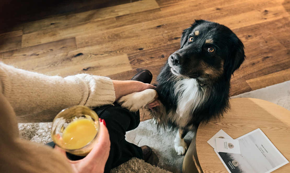 Hundefreundlich