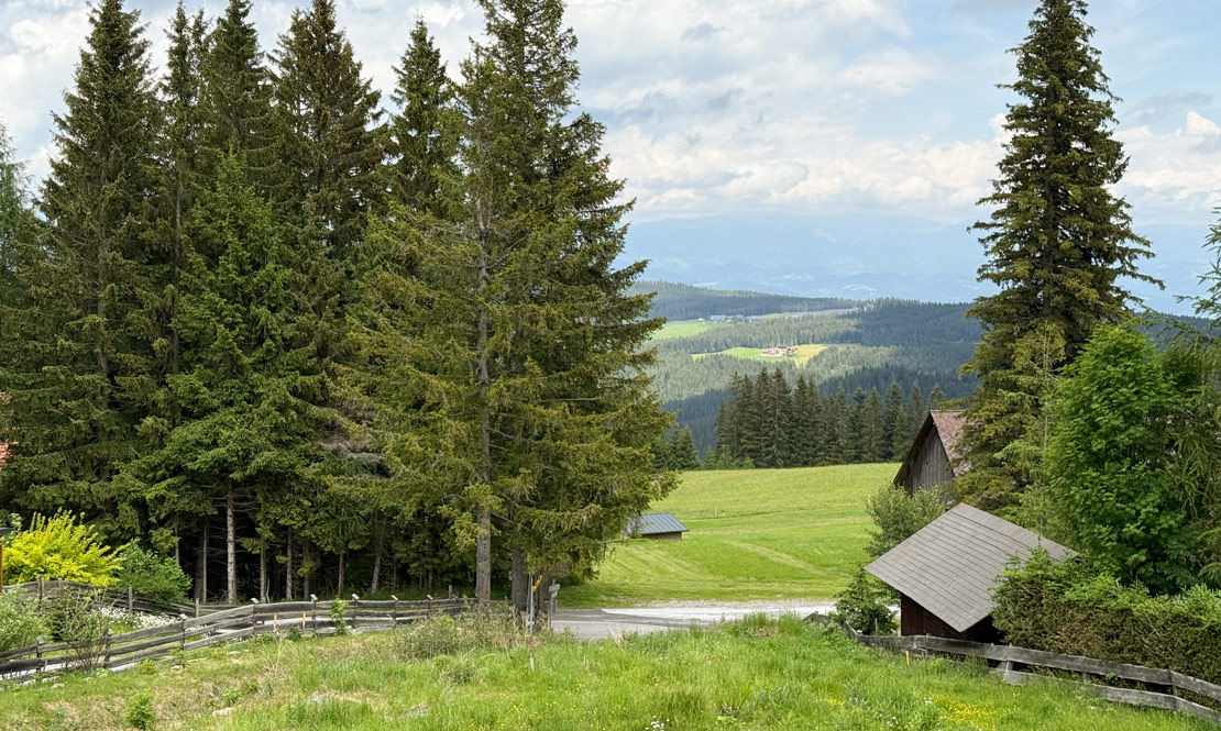 Ausblick ins Gr&uuml;ne