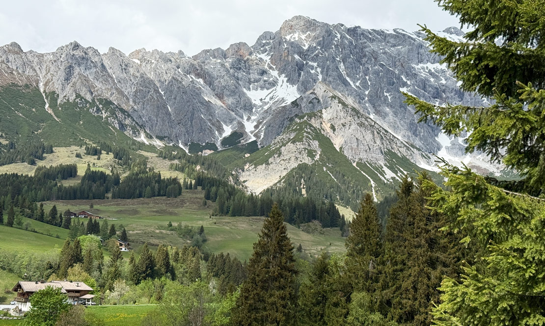 Ausblick