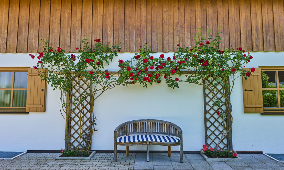 Gem&uuml;tlicher Sitzplatz unter den Rosen