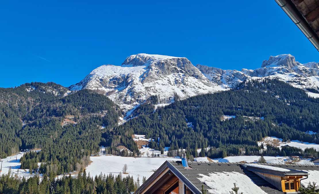 Blick vom Haus